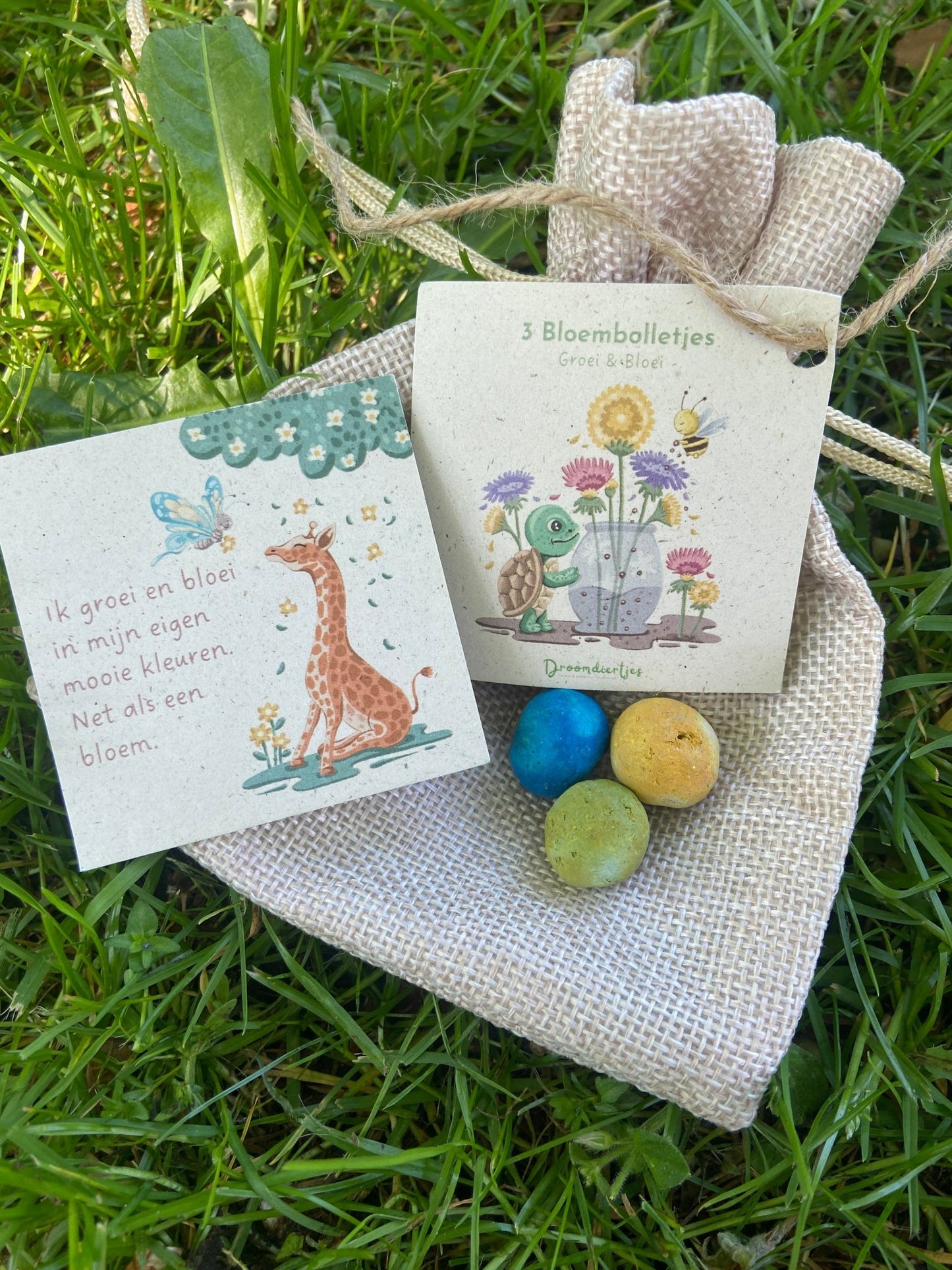 3 Bloembolletjes + affirmatiekaartje - Droomdiertjes