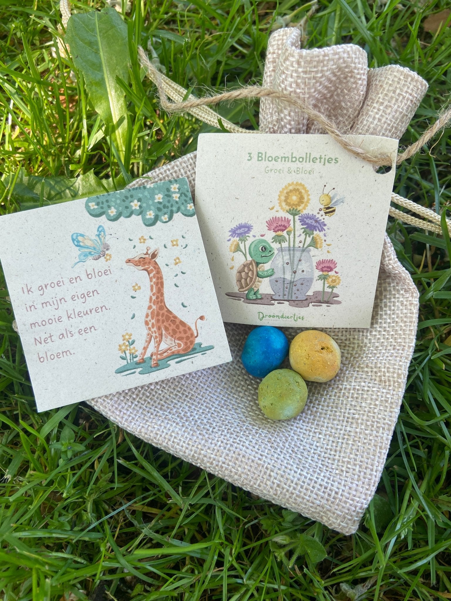 3 Bloembolletjes + affirmatiekaartje - Droomdiertjes