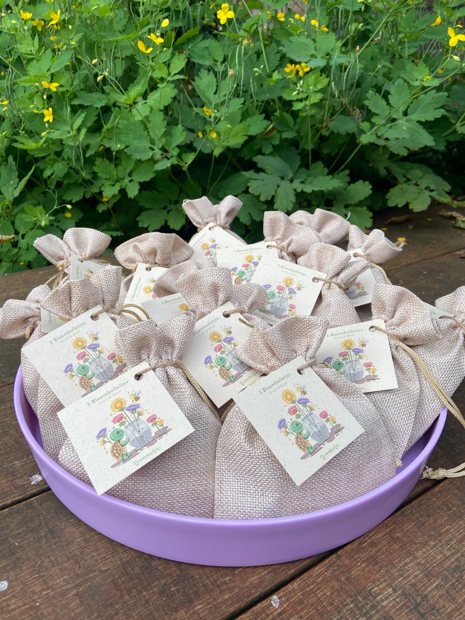 3 Bloembolletjes + affirmatiekaartje - Droomdiertjes