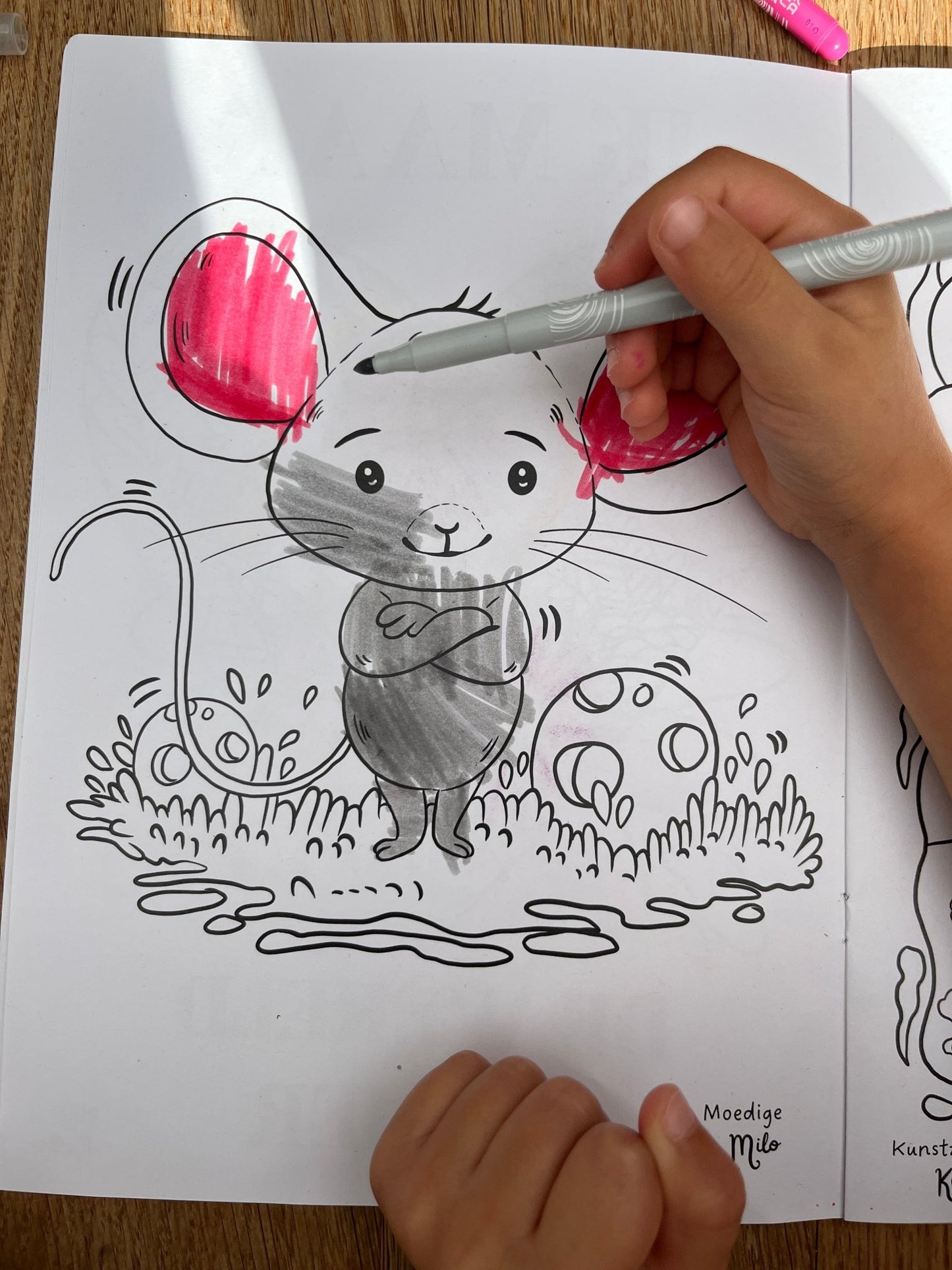 Droomdiertjes Kleurboek - Droomdiertjes