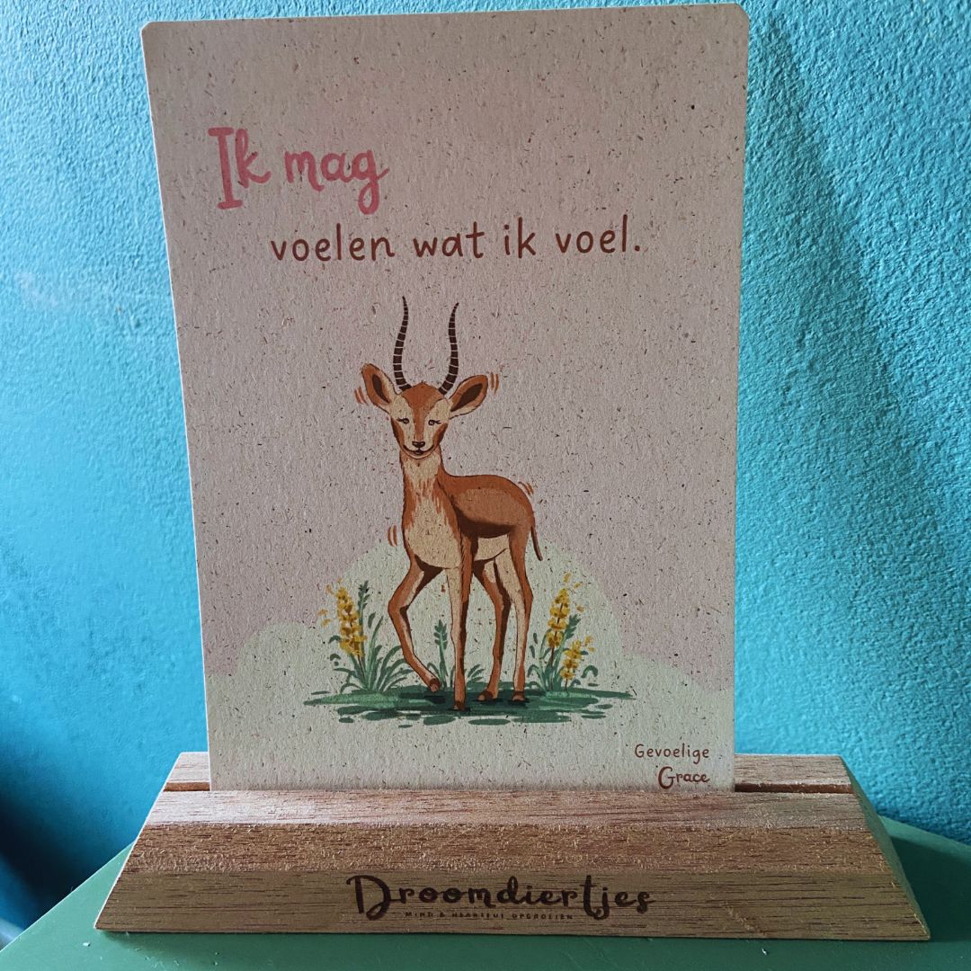 Liefdevolle Affirmaties voor kinderen - Droomdiertjes